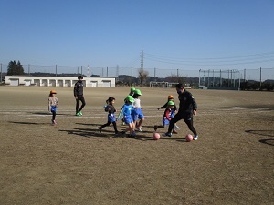 IMG_4354 IMG_4354