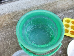 IMG_4587 IMG_4587