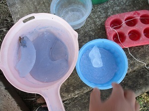 IMG_4585 IMG_4585