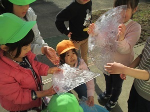 IMG_4646 IMG_4646