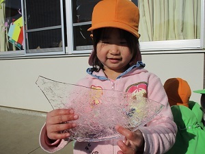 IMG_4648 IMG_4648