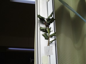 IMG_4855 IMG_4855