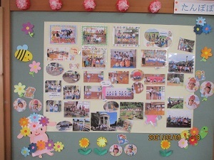 IMG_4938 IMG_4938