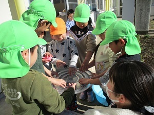 IMG_5155 IMG_5155