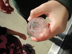IMG_5162 IMG_5162