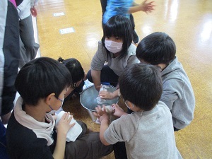 IMG_5250 IMG_5250