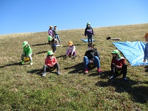 IMG_5342 IMG_5342