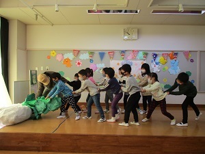 IMG_5433 IMG_5433