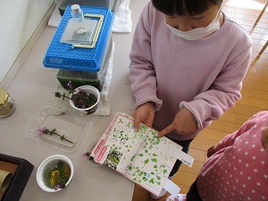 IMG_5566 IMG_5566