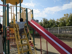 IMG_5629 IMG_5629