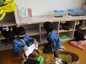 IMG_5789 IMG_5789