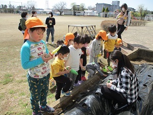 IMG_5946 IMG_5946