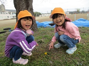 IMG_5966 IMG_5966