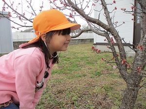 IMG_5968 IMG_5968