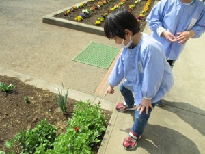 IMG_6002 IMG_6002