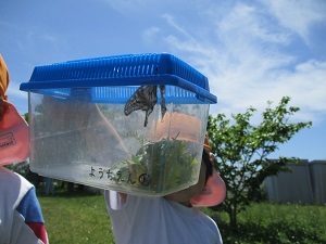 IMG_6430(1) IMG_6430(1)