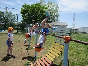 IMG_6432(1) IMG_6432(1)