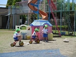 IMG_6428(1) IMG_6428(1)
