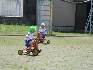 IMG_6427(1) IMG_6427(1)