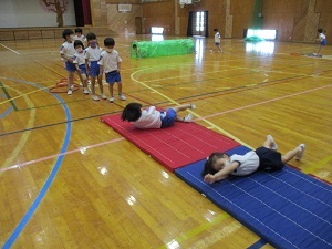 IMG_6445(1) IMG_6445(1)