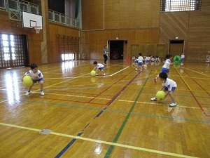 IMG_6461(1) IMG_6461(1)