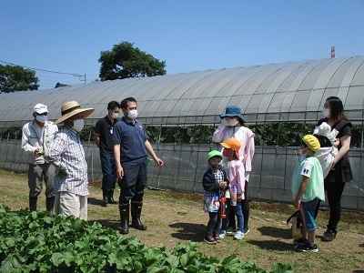 IMG_6652 IMG_6652