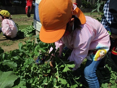 IMG_6663 IMG_6663