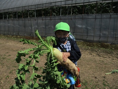 IMG_6666 IMG_6666