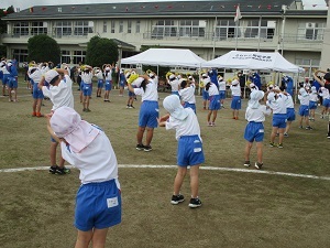 IMG_6795 IMG_6795