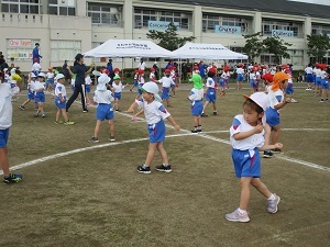 IMG_6800 IMG_6800