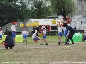 IMG_6829 IMG_6829