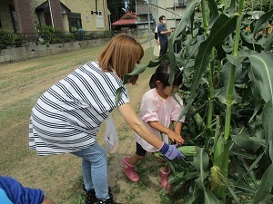 IMG_6960 IMG_6960