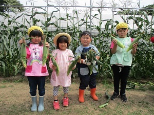 IMG_6966 IMG_6966