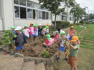 IMG_6977 IMG_6977