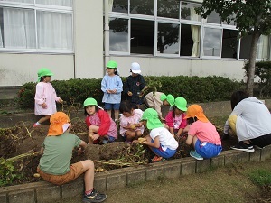 IMG_6979 IMG_6979