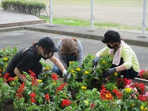 IMG_7012 IMG_7012