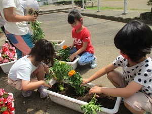 IMG_7014 IMG_7014