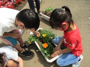 IMG_7015 IMG_7015