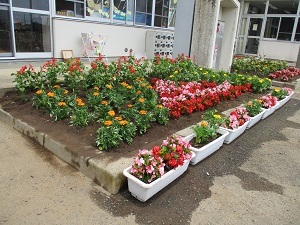 IMG_7019 IMG_7019