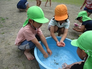 IMG_7038 IMG_7038