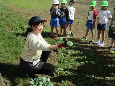 IMG_8047 IMG_8047