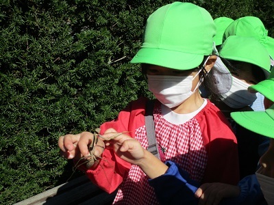 IMG_7968 IMG_7968