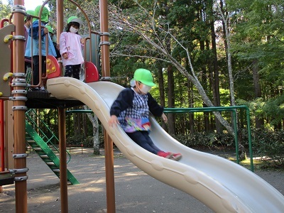 IMG_7986 IMG_7986