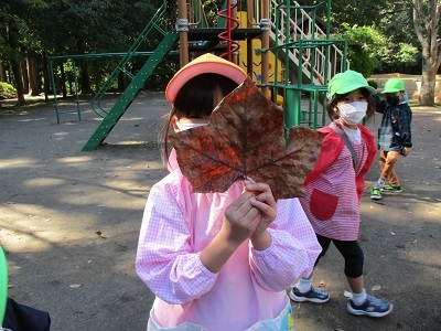 IMG_8017 IMG_8017