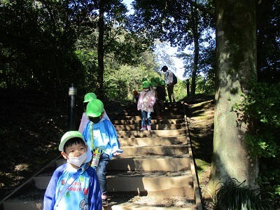 IMG_8018 IMG_8018