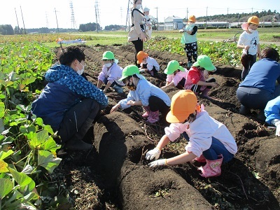 IMG_8143 IMG_8143
