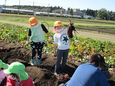 IMG_8144 IMG_8144