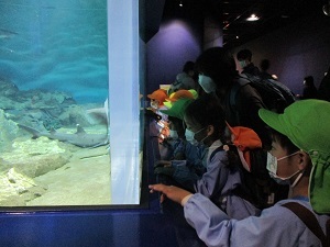 IMG_8688