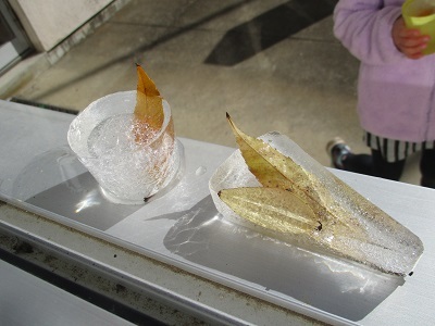 IMG_9420 IMG_9420
