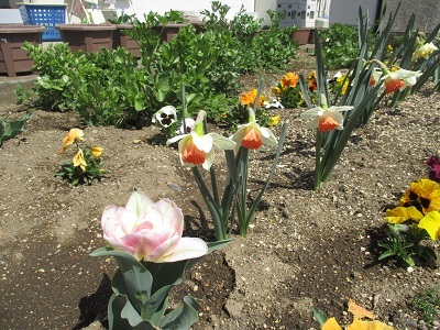 IMG_0333 IMG_0333